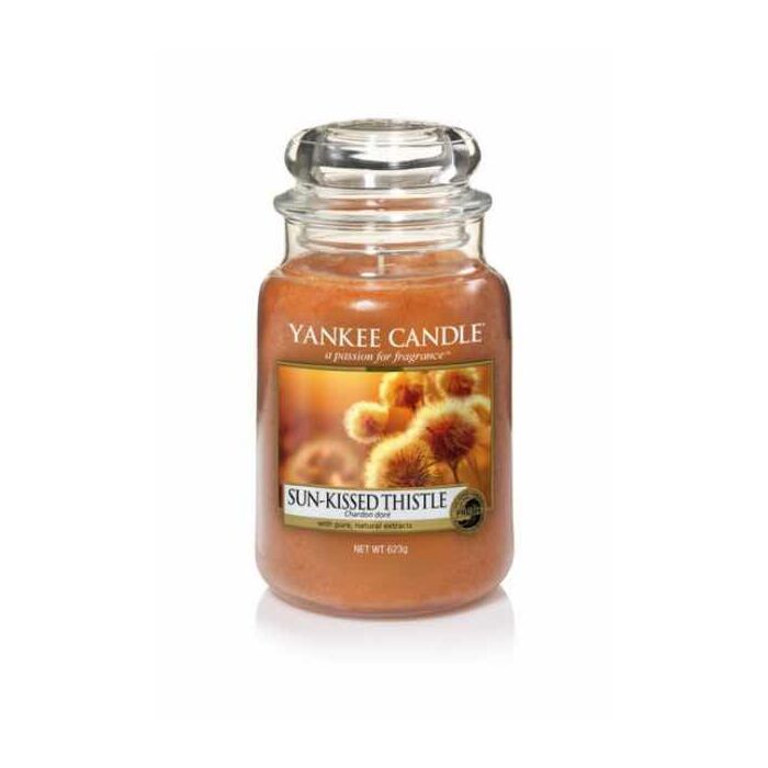 Yankee Candle Sun Kissed Thistle Large Jar Candle-1